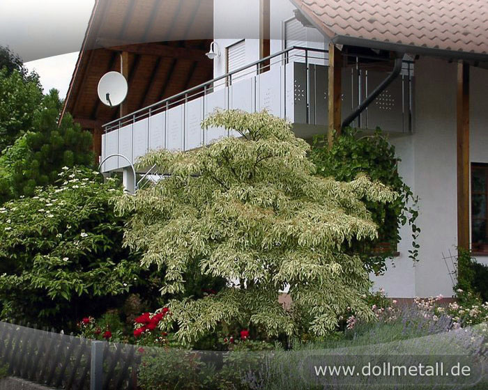 02_railing_dollmetall_0177